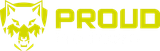 PROUD Motors